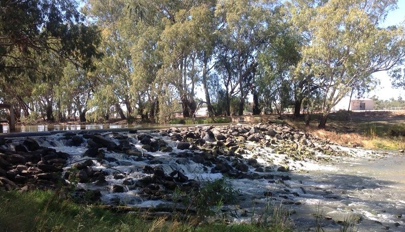 Goobang crk. Weir- Condobolin