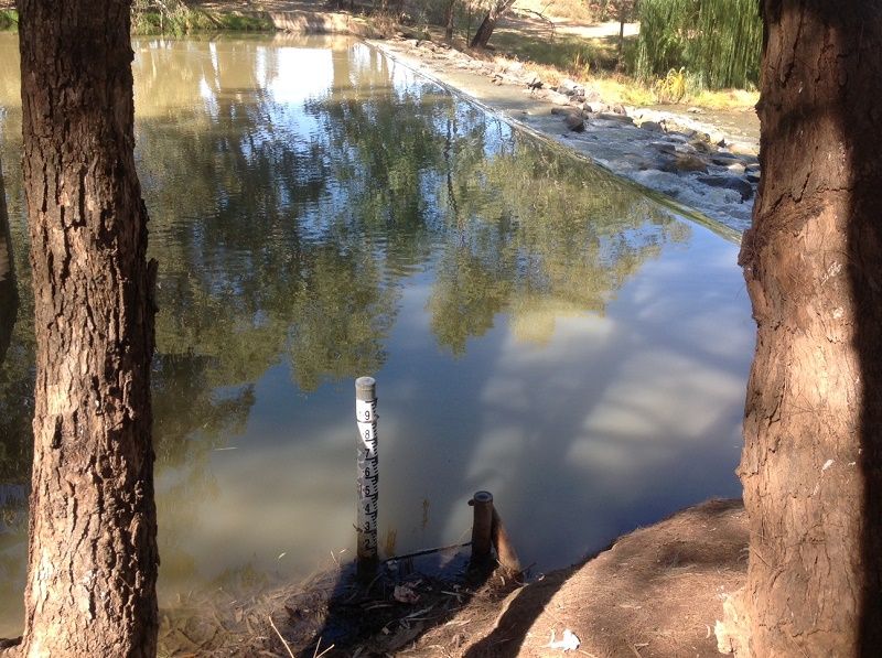 Goobank crk. Weir- Condobolin, weir pool