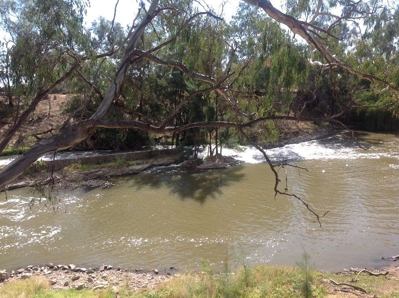 Lachlan River, Forbes,Cottons Weir