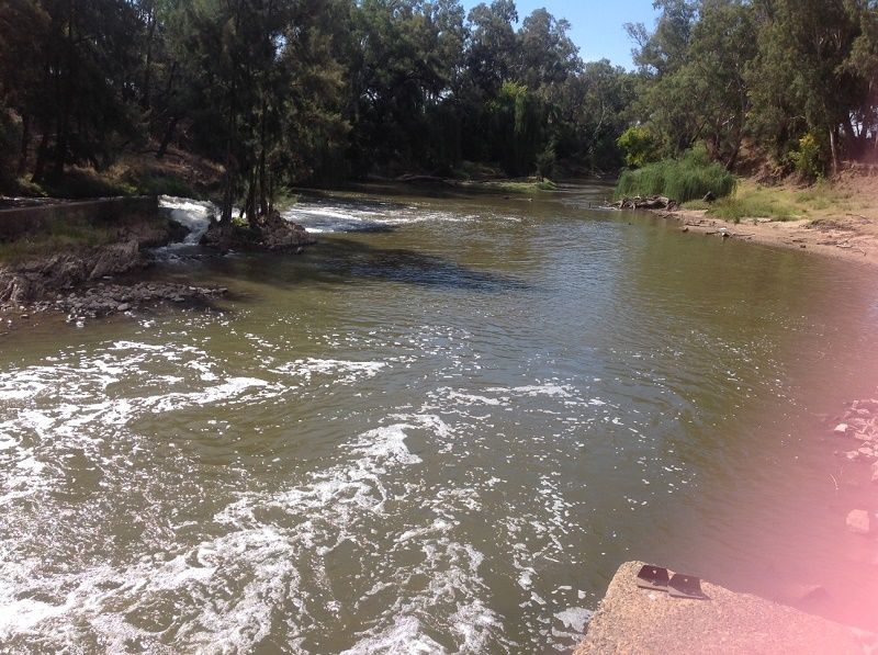 Cottons weir Forbes, Down stream April 16