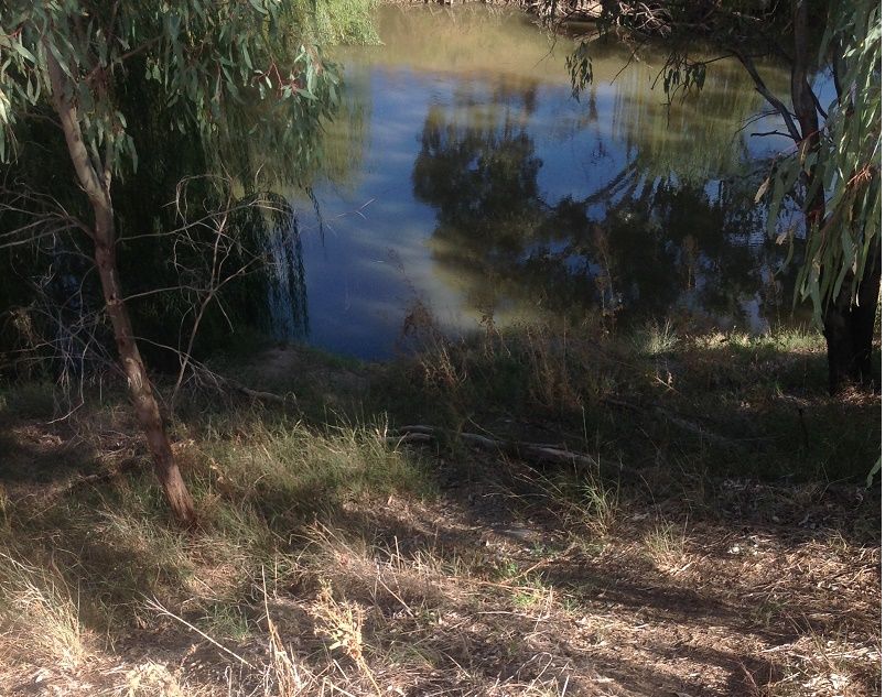 Lachlan River-Forbes- Access point-Railway bridge-Downstream