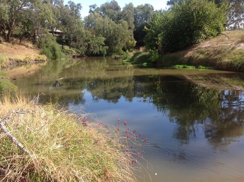 Lachlan River,Forbes , Old Weir pool 