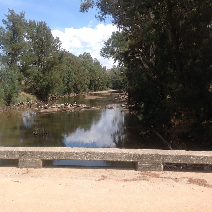Lachlan river upstream of Reids Flat Bridge