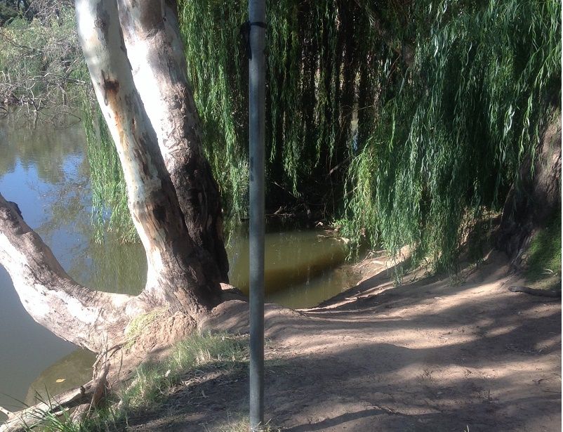 Lachlan River, Jemalong weir, River access