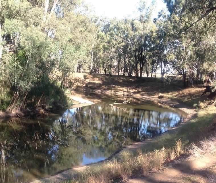 Lachlan river, Straneys bridge, Forbes condo rd. ,river