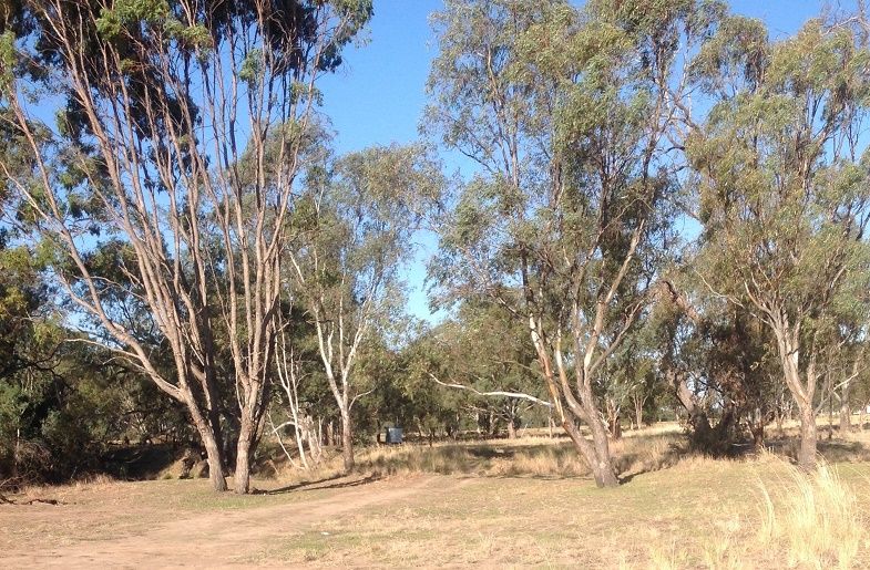 Lachlan river, Waroo bridge, Waroo bridge rd,