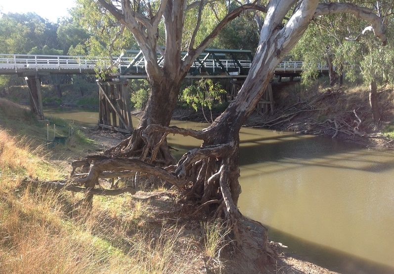 Lachlan river, Waroo bridge, Waroo bridge rd,Downstream Lachlan river, Waroo bridge, Waroo bridge rd, Downstream