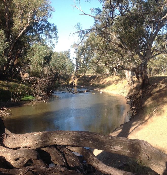 Lachlan river, Waroo bridge, Waroo bridge rd,April 2016 Lachlan river, Waroo bridge, Waroo bridge rd,April 2016