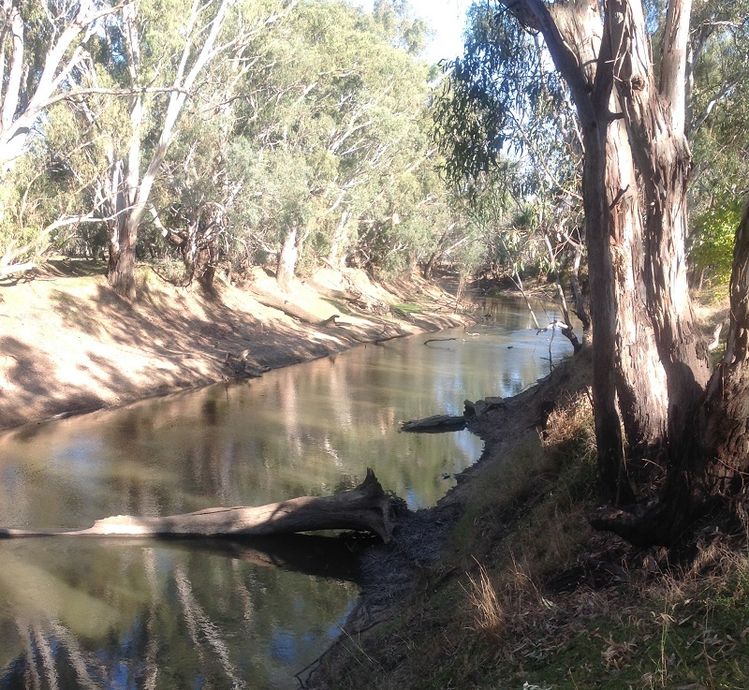 Lachlan river, Forbes Condo, first reserve area,upstream Lachlan river, Forbes Condo, first reserve area, upstream