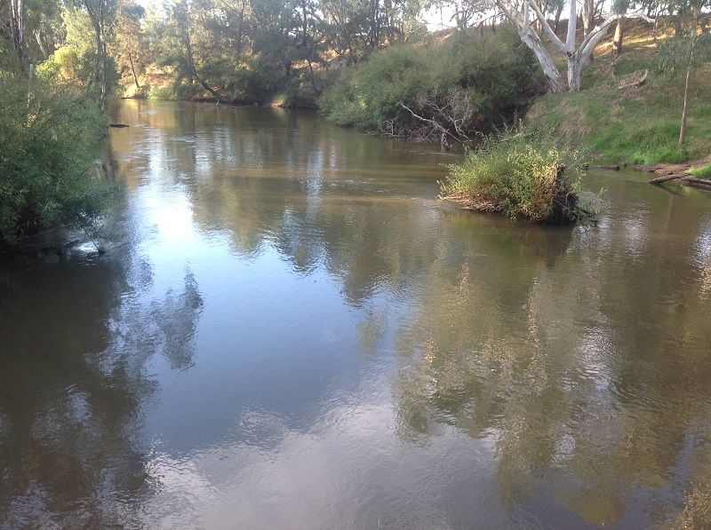 Davidsons Bridge,  Lachlan River Downstream