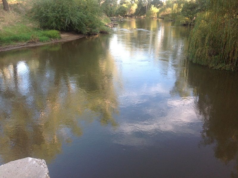 Davidsons Bridge,  Lachlan River upstream