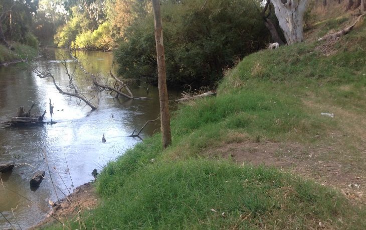 Davidsons Bridge, Lachlan River access point