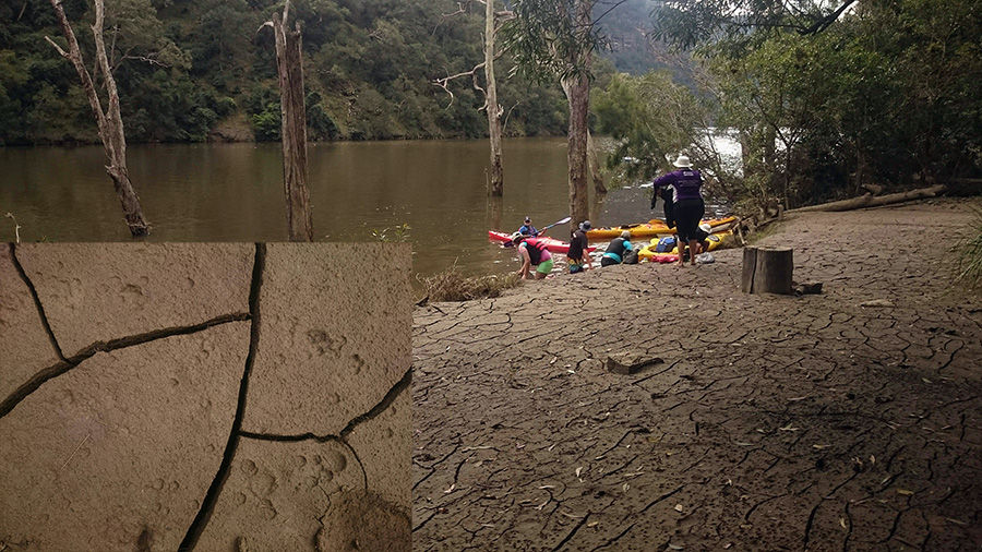 Monarch Bluff Campsite Flood Damage Monarch Bluff Campsite Flood Damage
