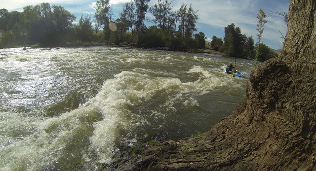 Childowlah main rapid