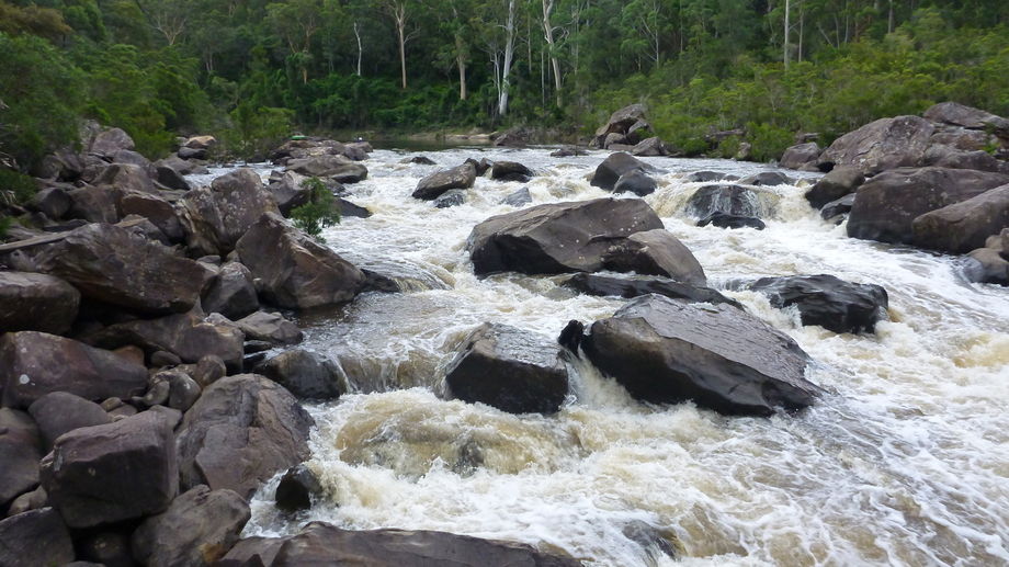 King Rapid 1.4m on Upper Colo Gauge