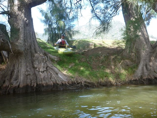 Childowlah River bank