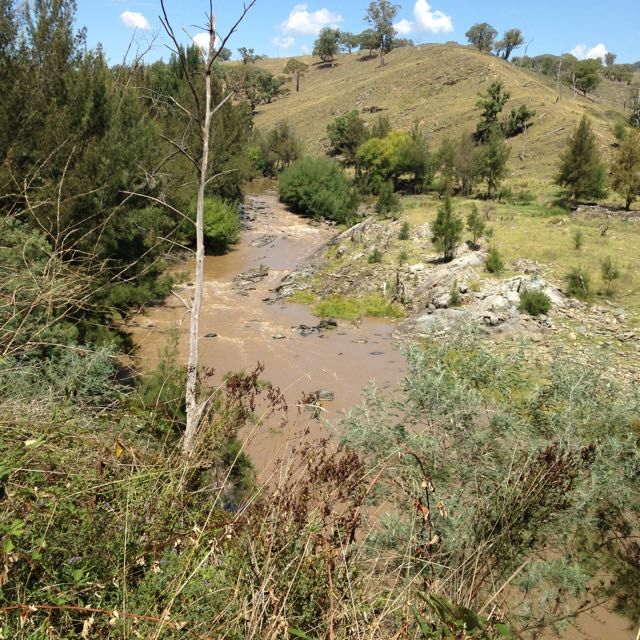 Low water on Macquaire Grade 2 rapid