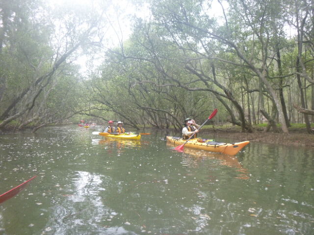 Yellow canoes
