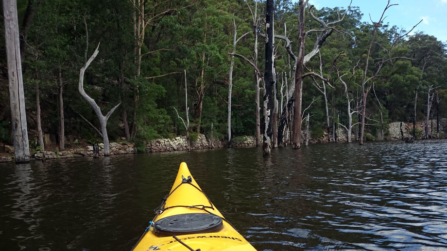 Timelong Trail Timelong Trail Photo