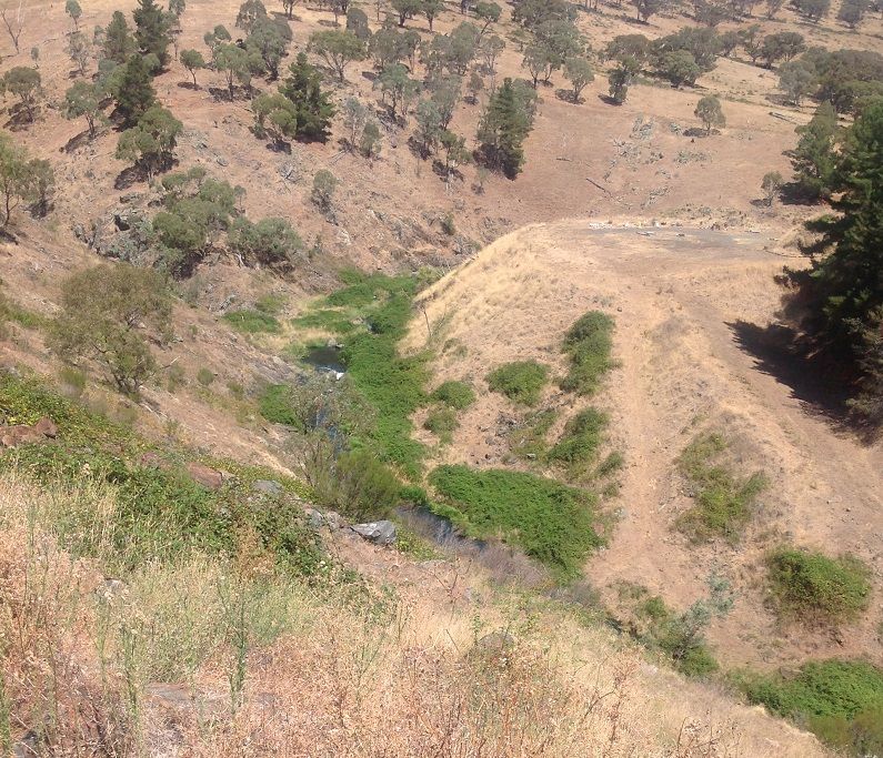 Below wall at Carcoar