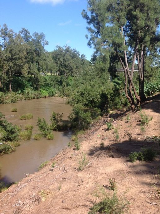 Richmond River below Bridge Casino