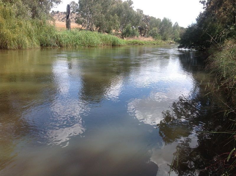 Junction of Lachlan and Abercrombie rivers