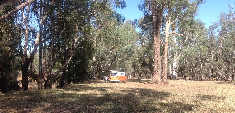 Cumbijowa Reserve- Lachlan river- Camping sites