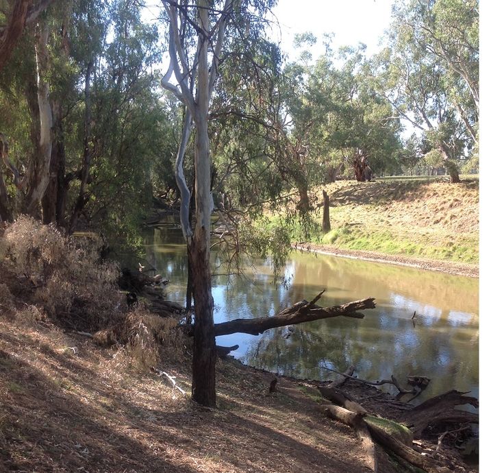 Lachlan river access -Cumbijowa reserve