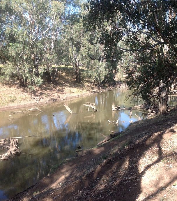 Lachlan river access -Cumbijowa reserve- upstream