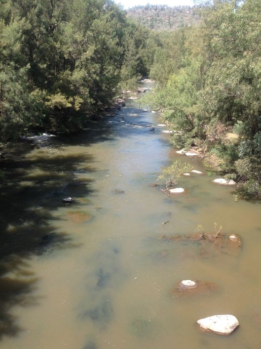 Lachlan river above new bridge