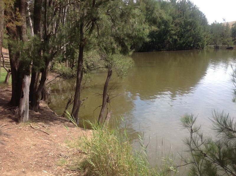 Lachlan river downstream of old Wyangala Bridge