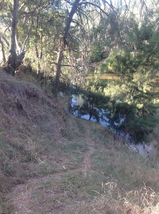Males Reserve, Lachlan River, Gooloogong end