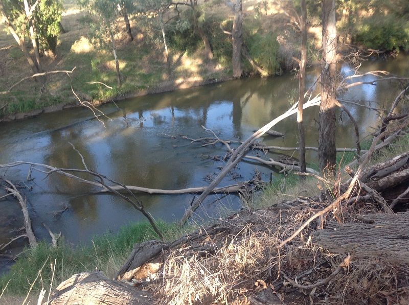 Males Reserve, Lachlan River